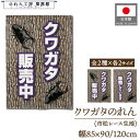 のれん クワガタ 85cm幅 90cm丈 120cm丈 2サイズ 2柄 クワガタ販売中 クワガタ販売しています 昆虫 オオクワガタ 飼育 ペットショップ ホームセンター 暖簾 間仕切り 目隠し 業務用 店舗用