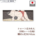 ショート丈 のれん 和風 85cm幅 30cm丈 45cm丈 2サイズ 短い 相撲 市松レース 暖簾 半間 和柄 モダン 間仕切り 目隠し タペストリー 業務用...