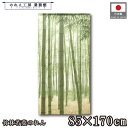 のれん 和風 85cm幅 170cm丈 竹林若葉 景色 風景 植物 夏 抜染 暖簾 半間 和柄 モダン シンプル ナチュラル 間仕切りカーテン 目隠し タペストリー 入口 店頭 軒先 業務用 店舗用 飲食店 居酒屋