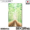 のれん 和風 85cm幅 150cm丈 竹林道 風景 景色 緑 暖簾 半間 和柄 モダン シンプル ナチュラル 間仕切りカーテン 目隠し タペストリー 入口 店頭 軒先 業務用 店舗用 飲食店 居酒屋