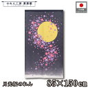 のれん 和風 85cm幅 150cm丈 月光桜 春 月 夜桜 月見 さくら 暖簾 半間 和柄 モダン シンプル ナチュラル 間仕切りカーテン 目隠し タペストリ...