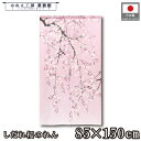 のれん 和風 85cm幅 150cm丈 しだれ桜 春 さくら 花見 捺染 暖簾 半間 和柄 モダン シンプル ナチュラル 間仕切りカーテン 目隠し タペストリー...
