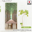 のれん 風景 景色 85cm幅 90cm丈 120cm丈 150cm丈 ショート ロング 選べる3サイズ タペストリー ポスター 並木 グリーン ブルー ブラウ...