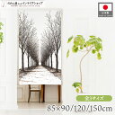 のれん 風景 景色 85cm幅 90cm丈 120cm丈 150cm丈 ショート ロング 選べる3サイズ タペストリー ポスター 落葉並木道 ホワイト グレー ...