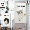 のれん ネコ 猫 タペストリー ポスター 85cm幅 150cm丈 目隠し 間仕切り 暖簾 ノレン THE CAT エキゾチックショートヘア ブルー&ホワイト
