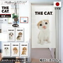 のれん ネコ 猫 タペストリー ポスター 85cm幅 150cm丈 目隠し 間仕切り 暖簾 ノレン THE CAT スコティッシュフォールド 白