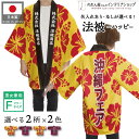 はっぴ ハッピ 法被 名入れ 名前入れ 文字入れ 沖縄 フェア シーサー ハイビスカス 居酒屋 祭 イベント 全4色