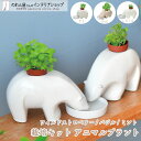 【30日までエントリー&抽選で最大100%Pバック】栽培キット 観葉植物 家庭菜園 アニマル 自由研究 室内 ハーブ エレプラント ワイルドストロベリー ヒポポ...
