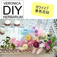 福袋ハーバリウム【春の福袋】ハーバリウムDIYワークショップにもカラフル花材/注入キャップ付きハーバリウムオイル/花材/材料【ハーバリウム花材】