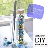 福袋ハーバリウム【春の福袋】ハーバリウムDIYワークショップにもカラフル花材/注入キャップ付きハーバリウムオイル/花材/材料【ハーバリウム花材】