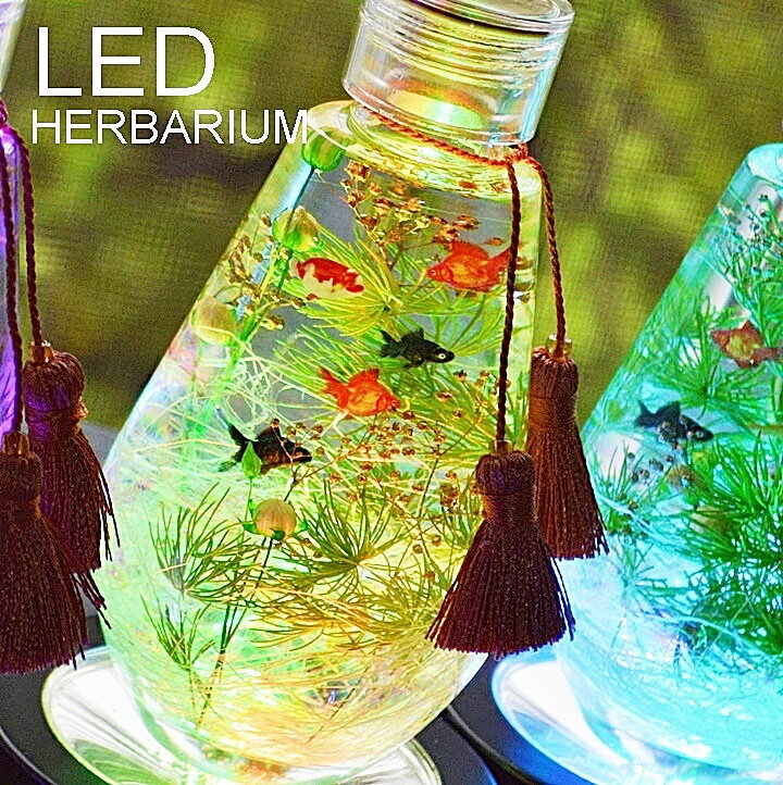【LED付き金魚のハーバリウム】 ハーバリウム ギフトled LED　ハーバリウム 誕生日 プリザーブドフラワー ギフト プリザーブドフラワー 誕生日 ギフト プレゼント　ハーバリウム お供え 枯れない花 お供え ハーバリウム 贈り物