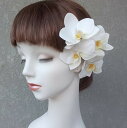 胡蝶蘭4本 髪飾り 胡蝶蘭 白 結婚式 胡蝶蘭 白無垢 コチョウラン 成人式 七五三 花 成人式 和風 ピン 発表会 ウェディング かすみ草 結婚式髪飾り 白無...