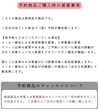 【7月〜8月予約】 鬼滅の刃 すわらせ隊4 〜 柱合会議〜 全5種 - 全5種フルコンプ