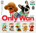 オンリー ワン Only Wan. Vol.2 全5種 コンプリート