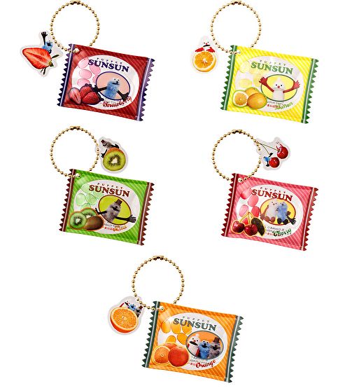 【5月予約】【送料無料】ポケモン メタモンいっぱいコレクション 全5種 コンプリート