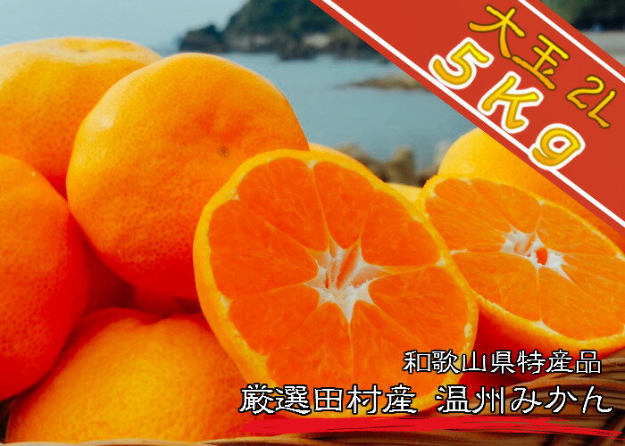 みかん 【温州みかん】【大玉2L】【5Kg】【送料無料】紀州特産 産地直送 和歌山県産 湯浅町 田村 完熟 有田 みかん ミカン 果物 ビタミン ジューシー 贈答品 ギフト 絶品 厳選 特選 ブランド フルーツ 最高級 プレミアスイーツ 甘い【10％OFF】