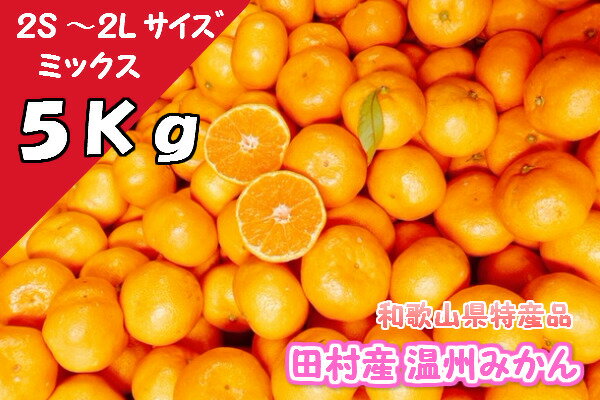 楽天創業百年老舗 株式会社則種海産【温州みかん】【2S〜2L】【5Kg】【訳あり】【送料無料】紀州特産 産地直送 和歌山県産 湯浅町 田村 完熟 有田 みかん ミカン 果物 ビタミン ジューシー ギフト 贈答品 絶品 ブランド フルーツ スイーツ 混合サイズ キズ 甘い