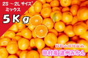 紀州特産 産地直送 和歌山県産 湯浅町 田村 完熟 有田 みかん ミカン 果物 ビタミン ジューシー ギフト 贈答品 絶品 ブランド フルーツ スイーツ 混合サイズ キズ 甘い