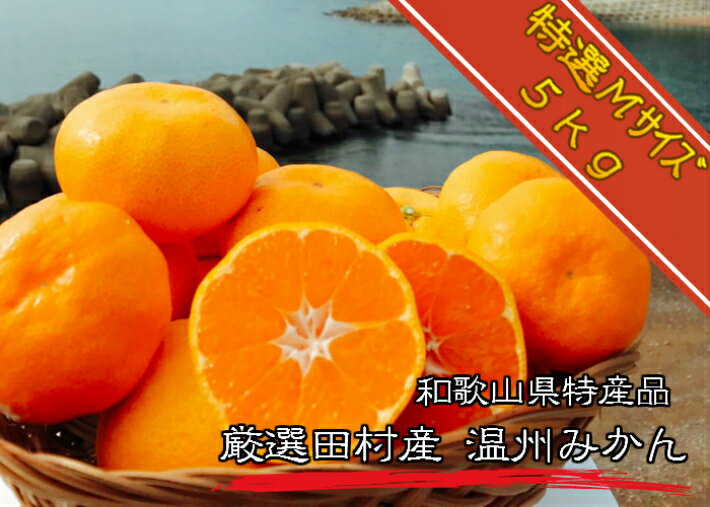 楽天創業百年老舗 株式会社則種海産【温州みかん】【特選Mサイズ】【5Kg】【送料無料】紀州特産 産地直送 和歌山県産 湯浅町 田村 完熟 有田 みかん ミカン 果物 ビタミン ジューシー 贈答品 ギフト 絶品 厳選 特選 ブランド フルーツ 最高級 プレミアスイーツ 甘い