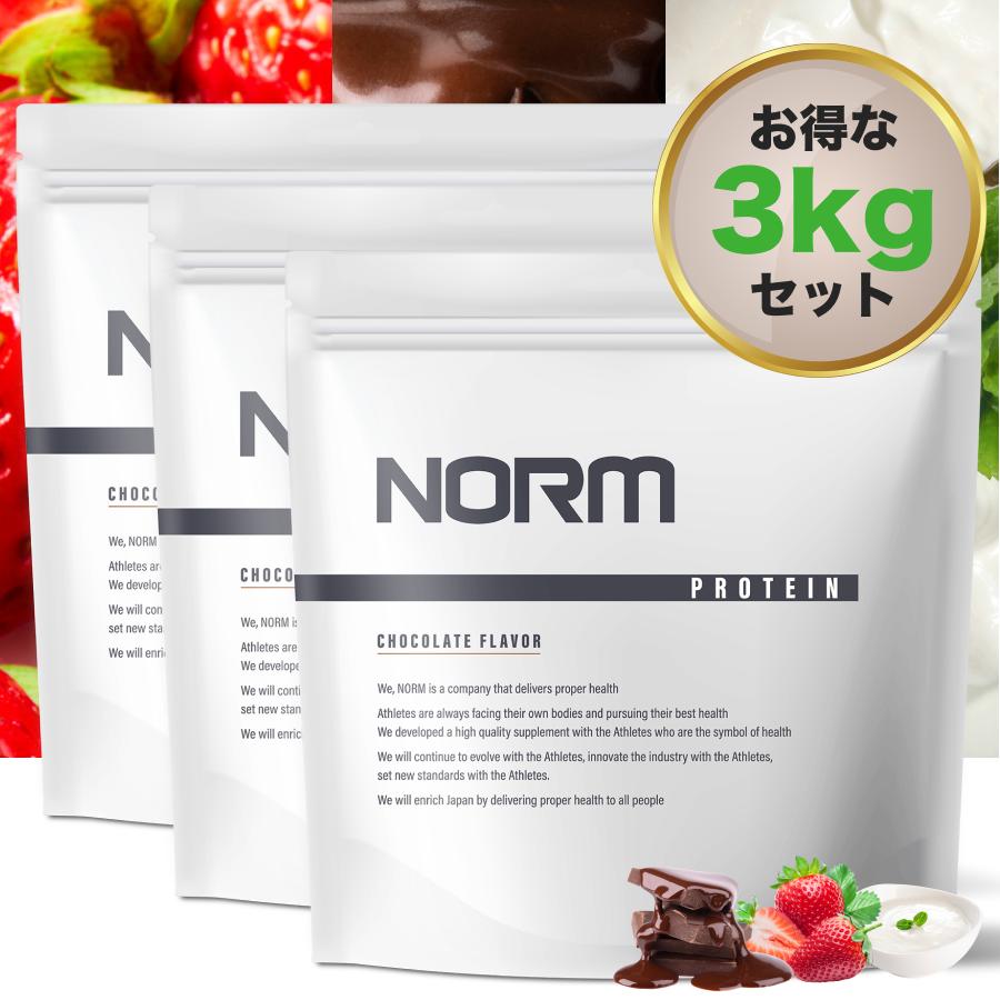 ホエイプロテイン 【選べる3味】 植物由来の甘味料「ステビア」のみ使用 国内製造 3kg 男性 女性 ジュニア 筋トレ ボディメイク プロテイン ダイエット たんぱく質 WPC 美味しい 飲みやすい 溶けやすい チョコ ストロベリー ヨーグルト NORM ノーム