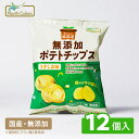 【ノースカラーズ公式 】 純国産 ポテトチップス うすしお味 送料無料 無添加 国産 北海道産 ポテチ 子ども