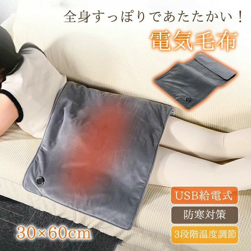 【最大2000円OFF】ホットマット 一人用ホットマット デスク下 ミニホットカーペット 省エネ 速暖 電気マット 電気毛布 洗えるホットマット 60×30cm 3段階温度調節 ごろ寝マット 電気あんか 足温器 過熱防止 防寒対策 在宅勤務