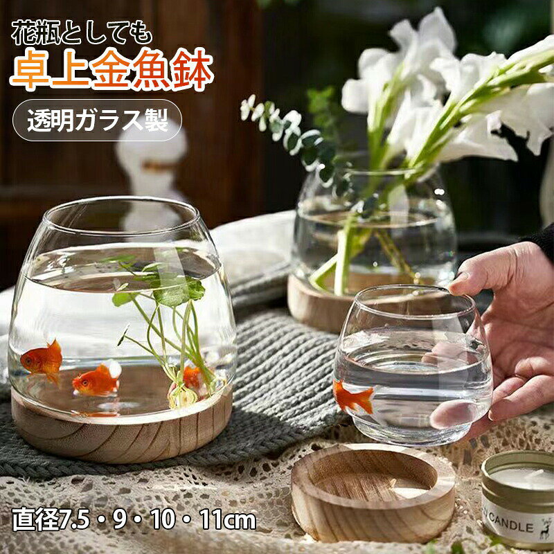 金魚鉢 おしゃれ 金魚 メダカ 水槽 室内 容器 鉢 ミニ水槽 ガラス金魚鉢 小さな水槽 金魚水槽 小さな丸い透明なガラス花瓶 木製ベース付きデスクトップ水槽 観賞植物ホルダー 水耕植物花瓶 おしゃれ 小シンク おしゃれ ガラス 室内花瓶 創作卓上金魚鉢