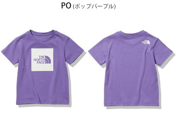 GWも毎日発送 新作 THE NORTH FACE ノースフェイス キッズ ショートスリーブ カラード ビッグ ロゴ ティー KIDS S/S COLORED BIG LOGO TEE Tシャツトップス NTJ82023 キッズ