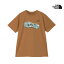 【GWも毎日発送】 新作 THE NORTH FACE ノースフェイス ショートスリーブ フット スタンプ ティー S/S FOOT STAMP TEE Tシャツ トップス NT32485 メンズ