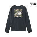 セール SALE THE NORTH FACE ノースフェイス ロングスリーブ TNF バグ フリー ティー L/S TNF BUG FREE TEE Tシャツ トップス NTW12450 レディース