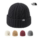 25-26 秋冬新作 ザ・ノース・フェイス THE NORTH FACE NN42334 ケーブル ビーニー CABLE BEANIE 帽子 ニット帽 メンズ レディース(4)