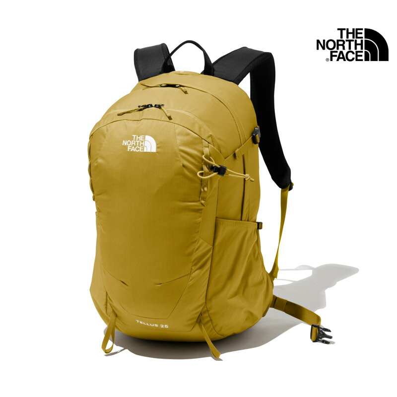 22-23 秋冬 新作 ノースフェイス THE NORTH FACE テルス 25 TELLUS 25 リュック バックパック NM62202 メンズ レディース