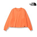 2023 春夏 新作 ノースフェイス THE NORTH FACE ロングスリーブ ヘビー コットン ティー L/S HEAVY COTTON TEE Tシャツ トップス NTW32347 レディース その1