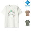  SALE ӥ COLUMBIA 桼 ۥåȥˡ ѡ 硼 ꡼ T Y WHITNEY PARK SHORT SLEEVE TEE T ȥåץ PY7528 å