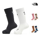 【P2倍】 セール ザ・ノース・フェイス THE NORTH FACE キッズ フリー ラン ライト 2P クルー KIDS FREE RUN LIGHT 2P...