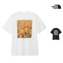 セール SALE ザ・ノース・フェイス THE NORTH FACE ショートスリーブ フラッシュドライ ピクセル プラント コットン ティー S/S FD PIXEL PLANT COTTON TEE Tシャツ トップス NT32549 メンズ