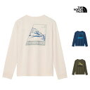 2025 春夏 新作 ザ・ノース・フェイス THE NORTH FACE ロングスリーブ TNF バグ フリー ティー L/S TNF BUG FREE TEE Tシャツ トップス NTW12450 レディース(4)