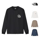 【P5倍 11月1日まで】 25-26 秋冬 新作 ザ・ノース・フェイス THE NORTH FACE ロングスリーブ フリー ラン グラフィック クルー L/S FREE RUN GRAPHIC CREW Tシャツ トップス NT62593 メンズ
