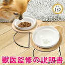 ＼最大485円OFF 5日23:59終／ 犬 フードボウル 食器 食器台 傾斜 斜め 餌皿 餌 エサ ...