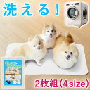 ＼最大490円OFF 9日19:59終／ 犬 ペット