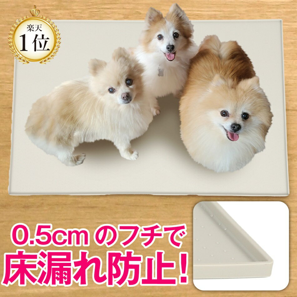 ＼最大500円OFF 20日23:59終／ 犬 トイ