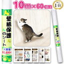\ 面積あたり最安値!/ 10m 大容量 猫 爪とぎ 防止 シート 爪とぎ防止シート 猫 壁 ひっかき防止 壁紙保護シート ペット 壁紙 保護 シート 壁紙保護...
