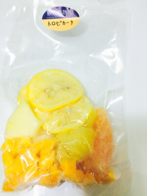 【KIMONO FRUITS】デトックスウォーター冷凍フルーツ（トロピカーナ）100g×10個　フルーツウォーター用冷凍フルーツ【送料、消費税込み】