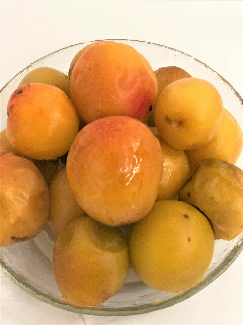 KIMONO FRUITSߤޤϡžߡ²λߡ1kg500g2ھǹߡۡ²λδߡž ùޤ