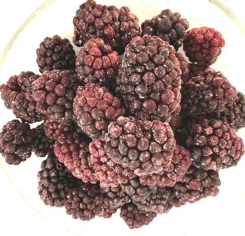 【KIMONO FRUITS】冷凍ブラックベリー 1000g 栄養価の高いブラックベリーは、ポリフェノールやアントシアニンがいっぱい。