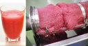 冷凍　ざくろジュース（スムージー）（イスラエル産）　100g（袋体）×21個/cs　冷凍　生ザクロジュース　酵素そのまま　「カズレーザーと学ぶ」