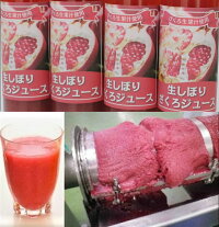 【KIMONOFRUITS】冷凍ざくろジュース（スムージー）（イスラエル産）100ｇ（袋体）×7個/ｃｓ冷凍生ザクロジュース酵素そのまま