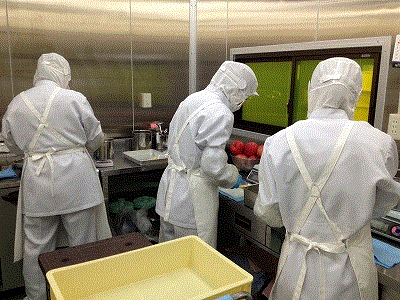 �����������绺���ݵ̡��ʲ����������L��3L��������1000g/�ޡ������ԲĤǤ��ꤤ�פ��ޤ����ھ����ǹ��ߡۥ���ߥ�SHOW������ߥ󥷥硼