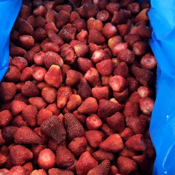 【KIMONO FRUITS】訳あり　B品　冷凍いちご　10kg（1000g×10）（メキシコ産または、ペルー産）冷凍いちご　冷凍ストロベリー