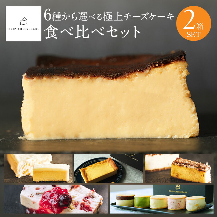 チーズケーキ 【公式】母の日 スイーツ 送料無料 トリップチーズケーキ trip cheesecake 6種から選べる 食べ比べ 2個セット お取り寄せ ギフト プレゼント チーズケーキ 誕生日プレゼント お試し 内祝い 出産 結婚 お祝い お礼 誕生日 還暦祝い 2024